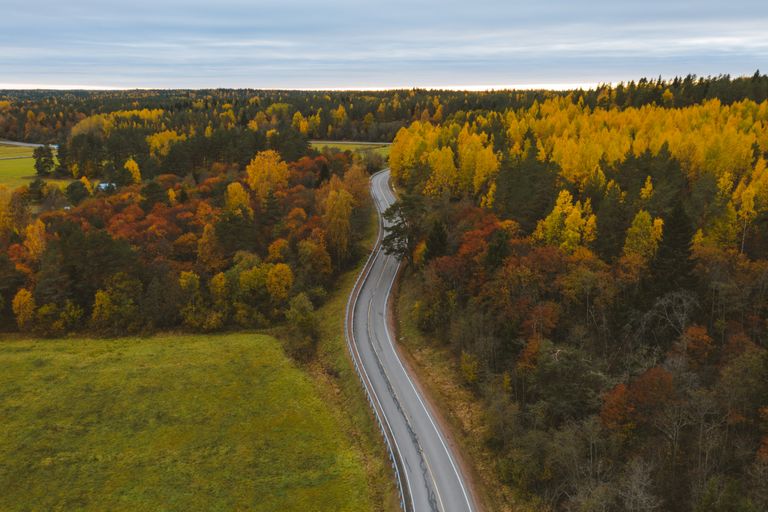 Aerial view of a winding road through colorful autumn forest.