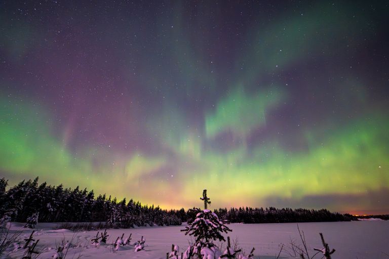 Captivating northern lights illuminate the winter night sky over a serene snowy landscape in Kemi, Finland.
